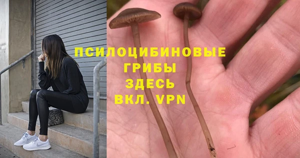 метамфетамин Краснослободск